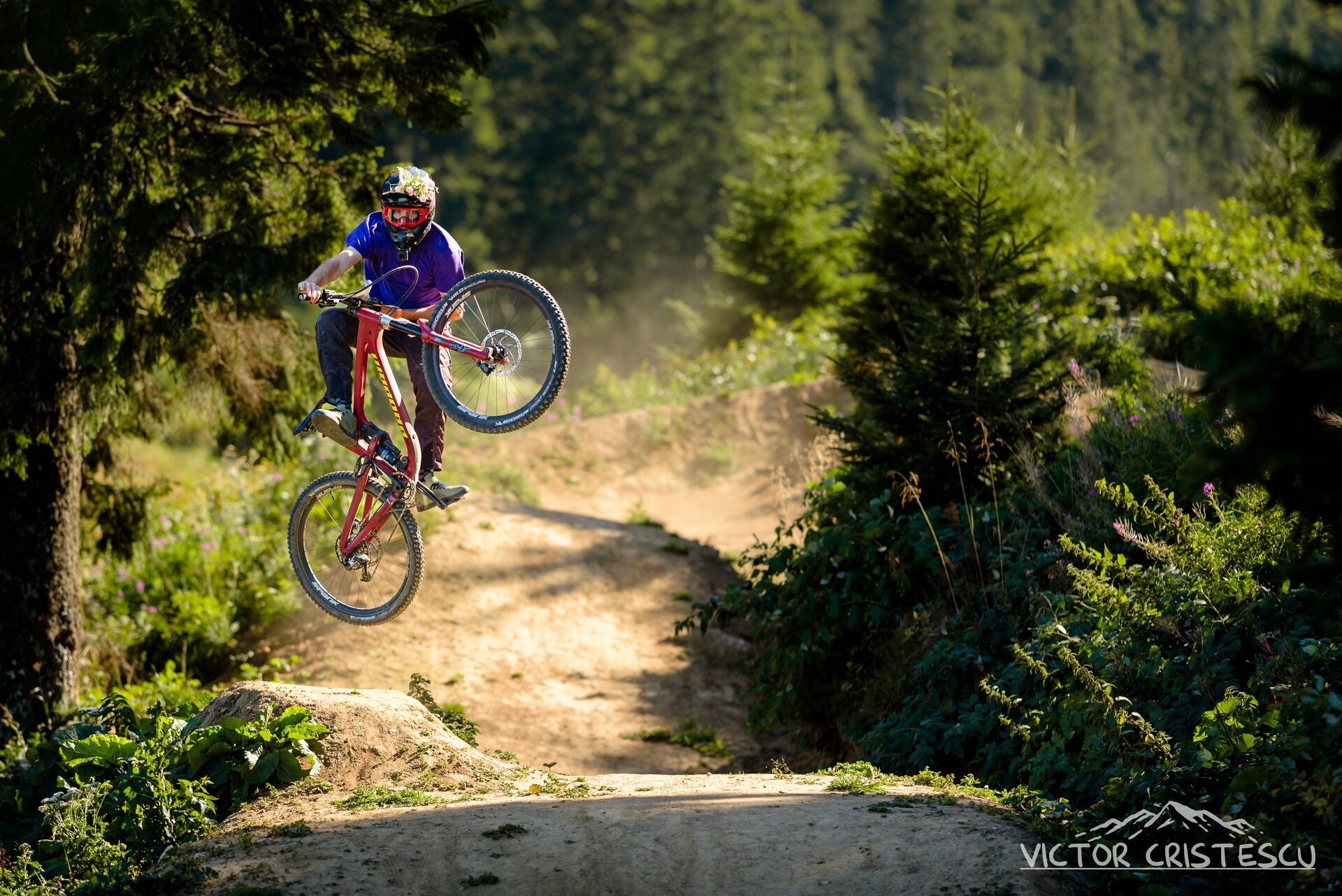 Downhill rider jumping through dust and forest light in Bike Park Postăvaru, Poiana Brașov