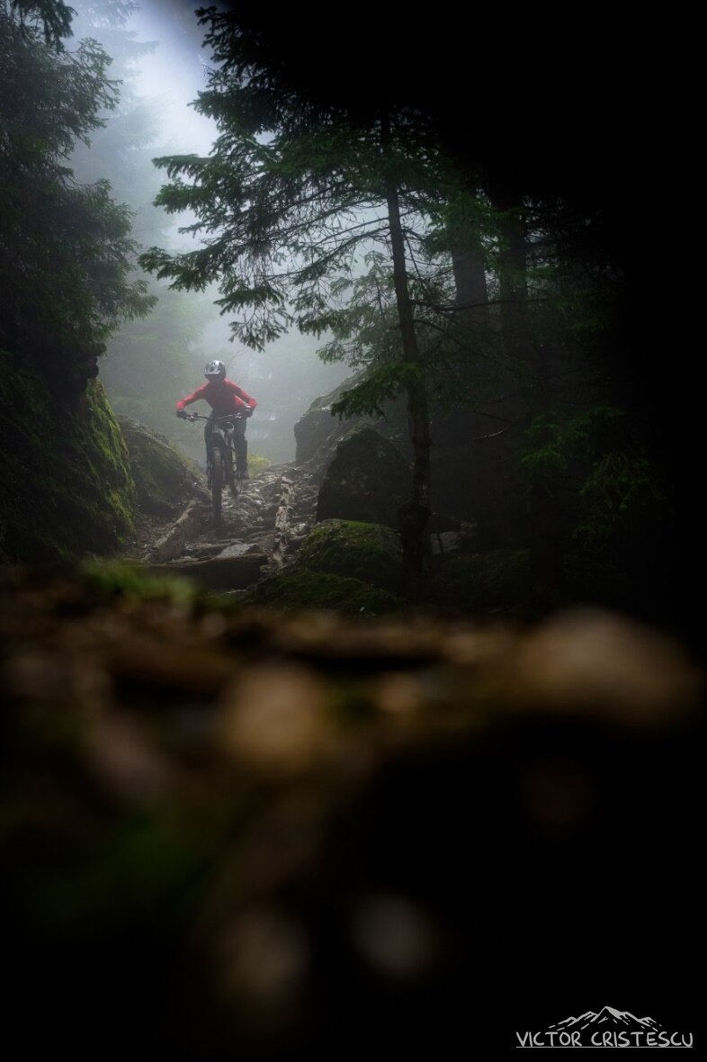 Rider on a rocky forest trail in thick fog, Romanian Carpathians